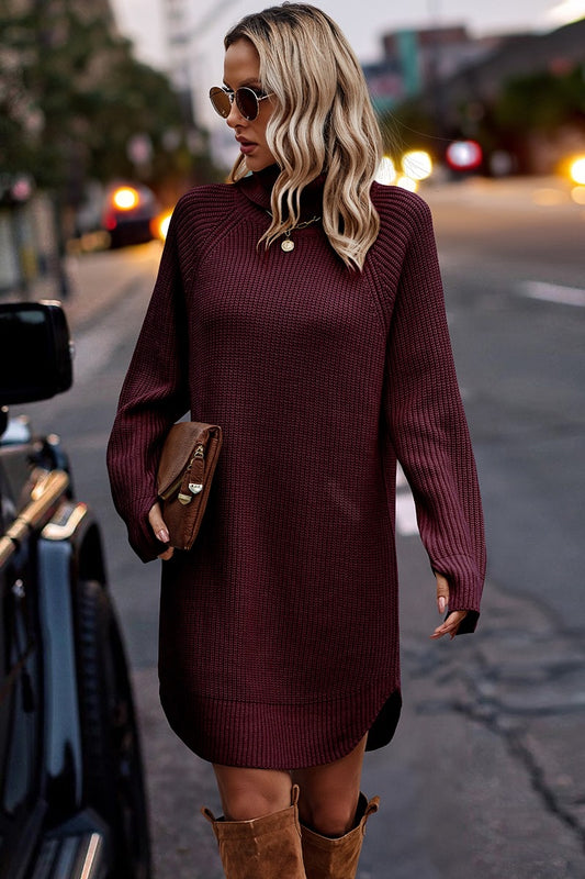 Wine Sweater Dress